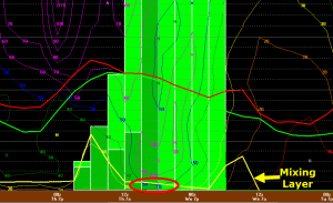 12Z GFS Showing Very Strong Winds Just Above The Surface Early Thursday Morning. 