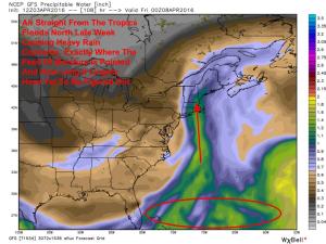 12Z GFS Showing The Tropical Connection Available Late Week