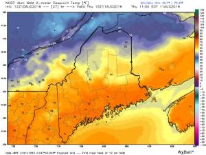 4km NAM Showing Oppressive Dew Points Tomorrow. Image Credit: Weatherbell