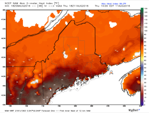12Z 4km NAM Showing Dangerous Heat Indexes Thursday. Image Credit: Weatherbell